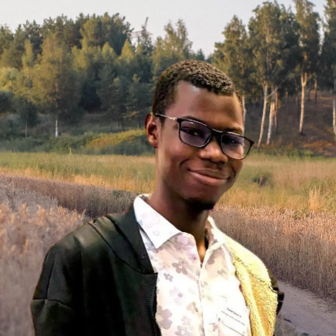 Cheikh omar ly, Hidden Investigations